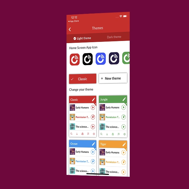 In-app theme personalisation screen from a media app AppMatic Tech built
