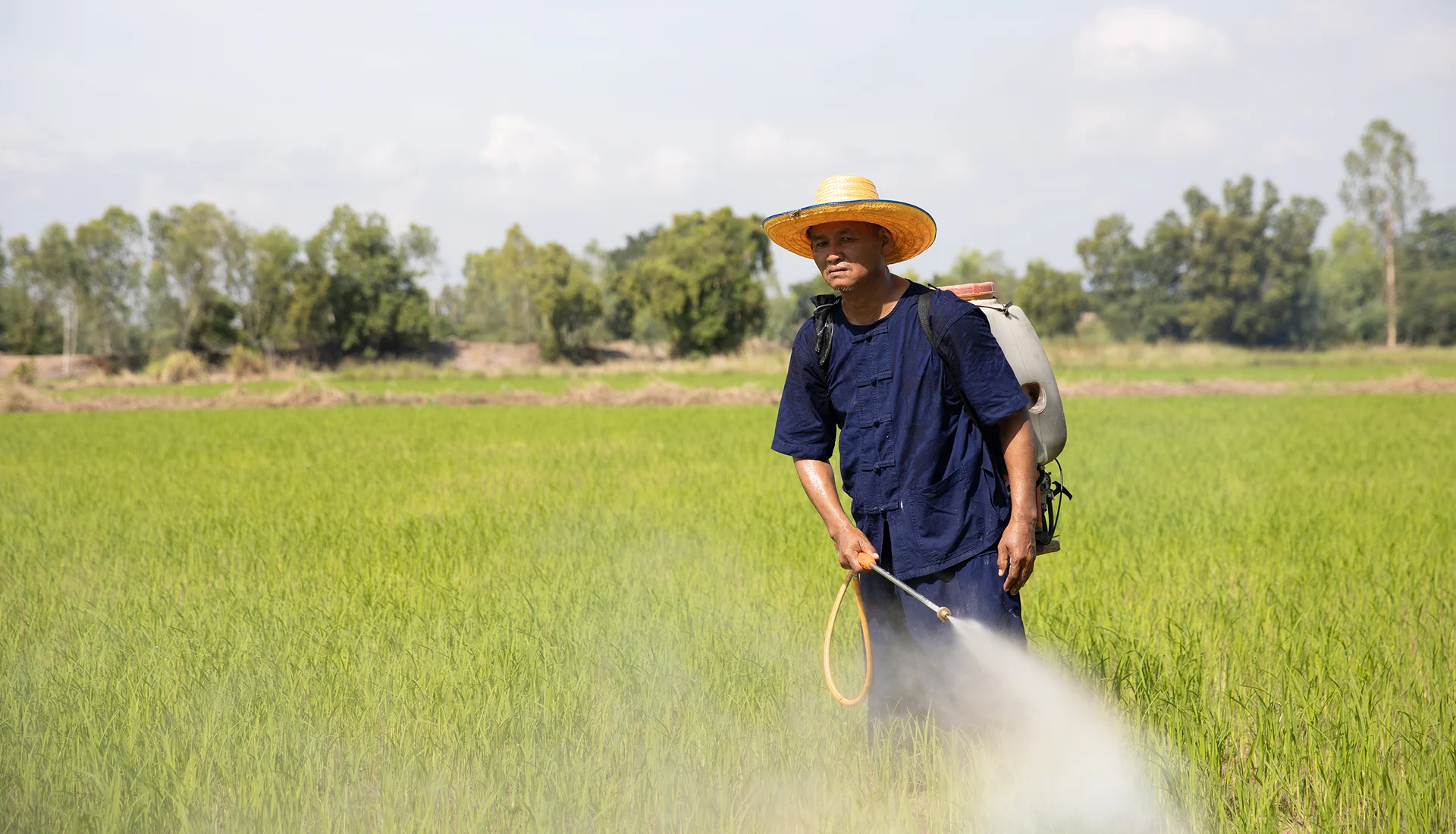 Indian farmer using Univia Android app for crop advisory