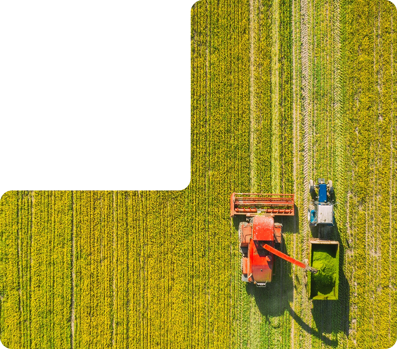 Aerial view of a combine harvester working a crop field, AgriTech platform engineered by AppMatic Tech